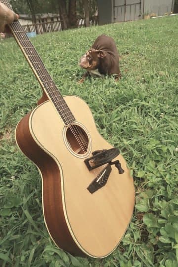 A hand holding the guitar neck in a backyard, dog in the distance